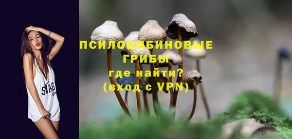 сатива Алзамай