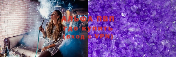 индика Алексин