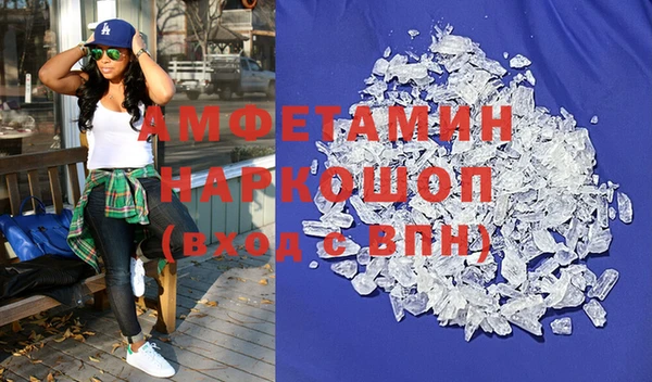 индика Алексин