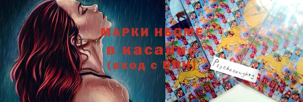 сатива Алзамай
