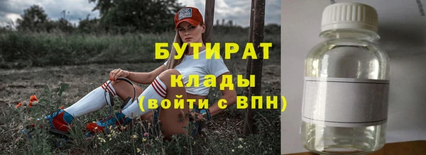 индика Алексин